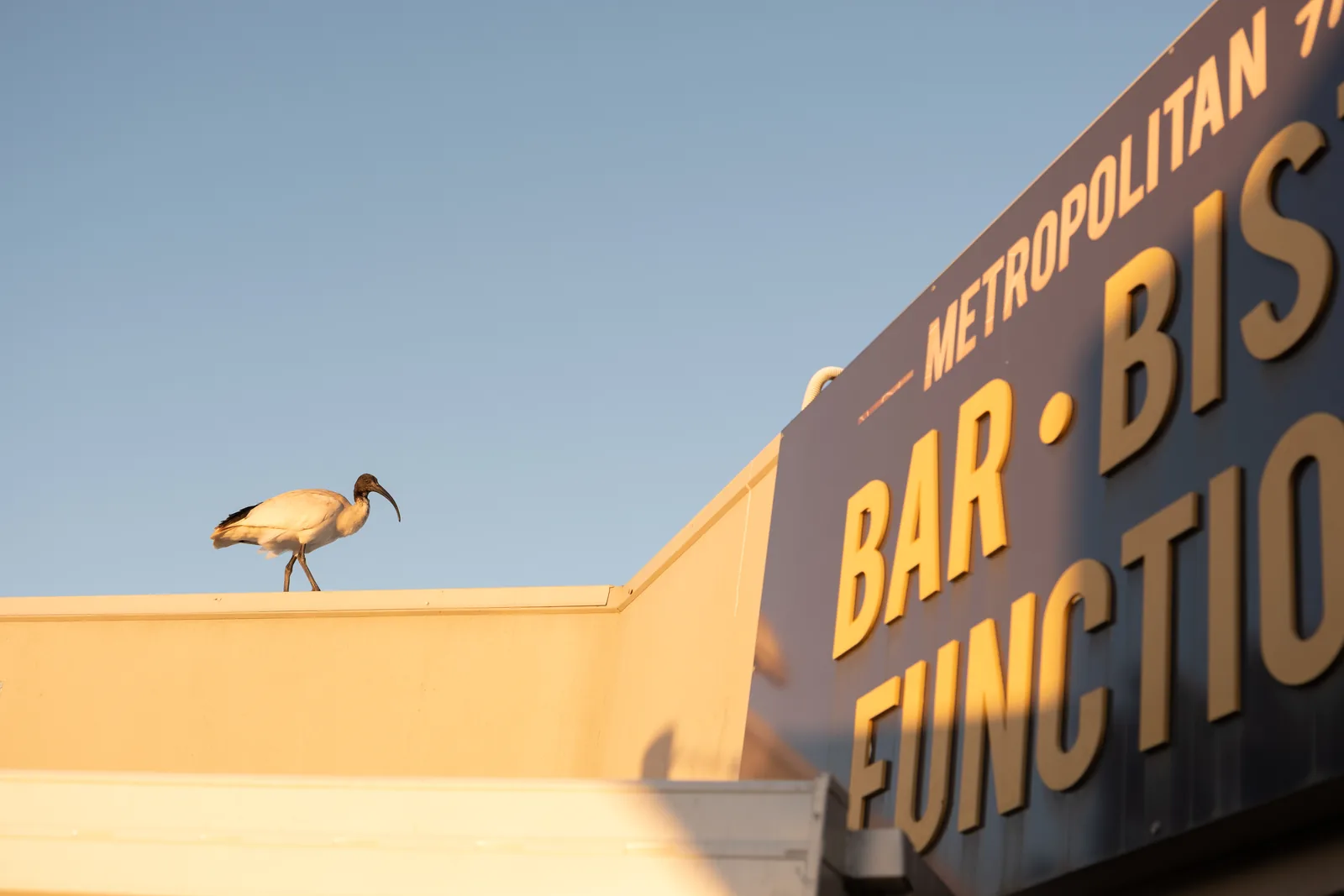 The Metropolitan Hotel signage in Mackay at golden hour, an Australian Venue Co venue