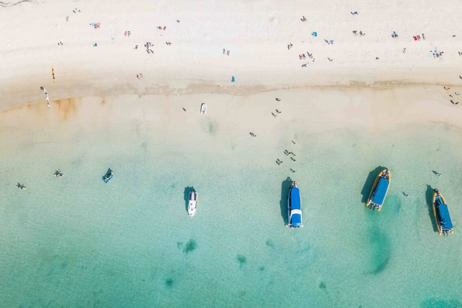 How Professional Video and Photography Drive Digital Marketing Success for Your Business